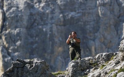 Diferencias entre agente forestal y agente medioambiental