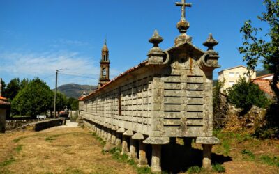 La Xunta de Galicia convoca 487 plazas de empleo público de acceso libre