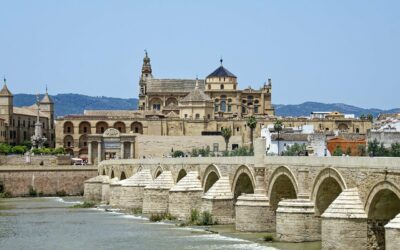 Universidad de Córdoba: 8 plazas para profesor