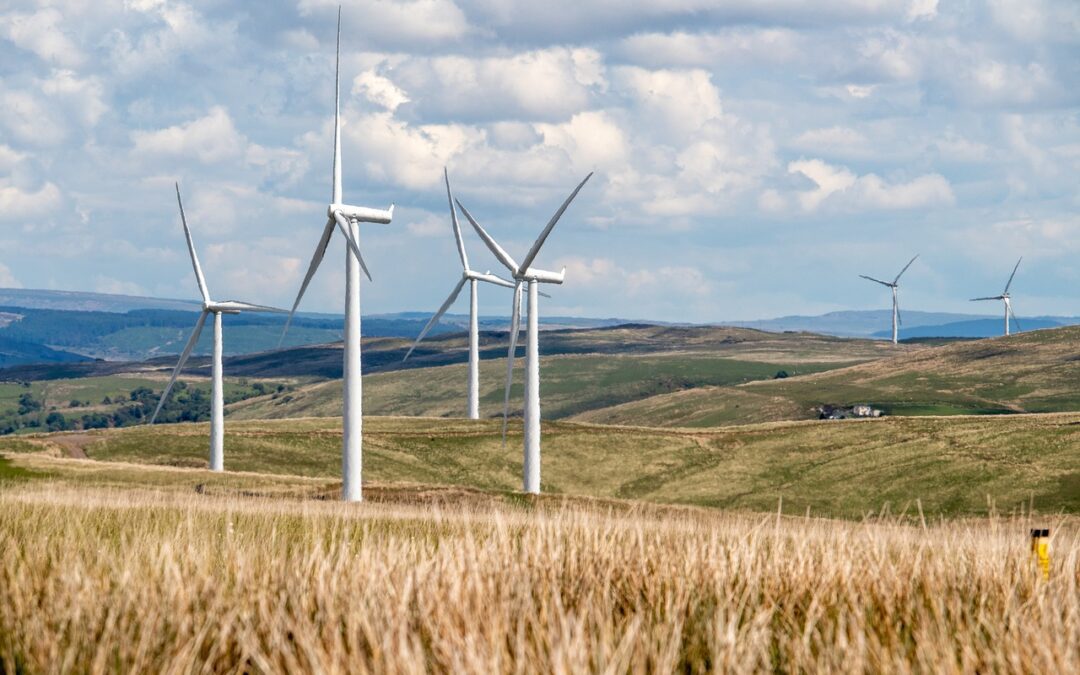 Convocatoria 11 plazas para el Instituto para la diversificación y ahorro de la energía (IDAE)