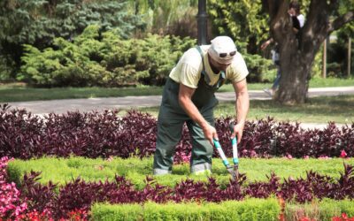 Empleo público: 4 plazas de Oficial 1ª Jardinero/a Ayuntamiento de Córdoba