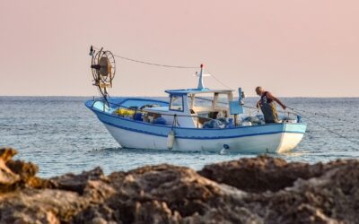 Convocatoria empleo público: 53 plazas Escala de Titulados de Escuelas Técnicas de Grado Medio del Ministerio de Agricultura, Pesca y Alimentación