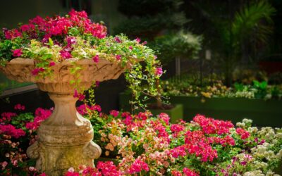 Tabla salarial convenio Jardinería