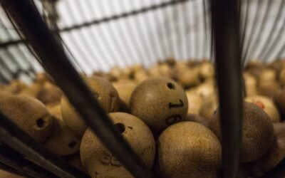 Sorteo bolas oposiciones