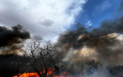 Oposiciones técnico auxiliar de incendios Cantabria 2025: 25 plazas, requisitos